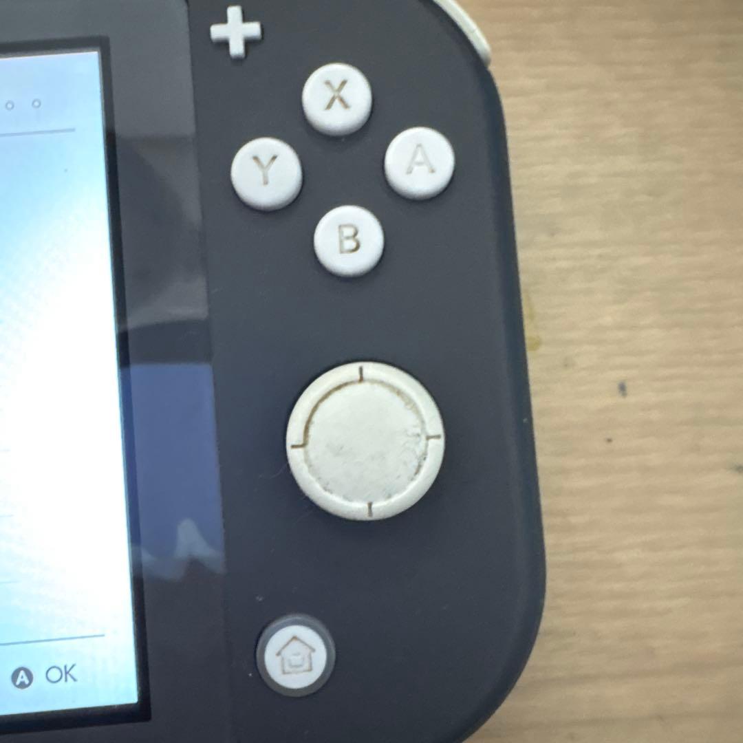 Switchライトグレー本体