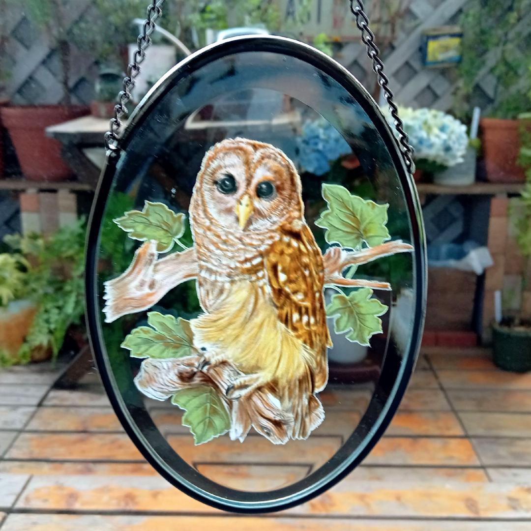 ライフォード社ステンドグラス ふくろうB梟フクロウ /グラスマスターズ トロント