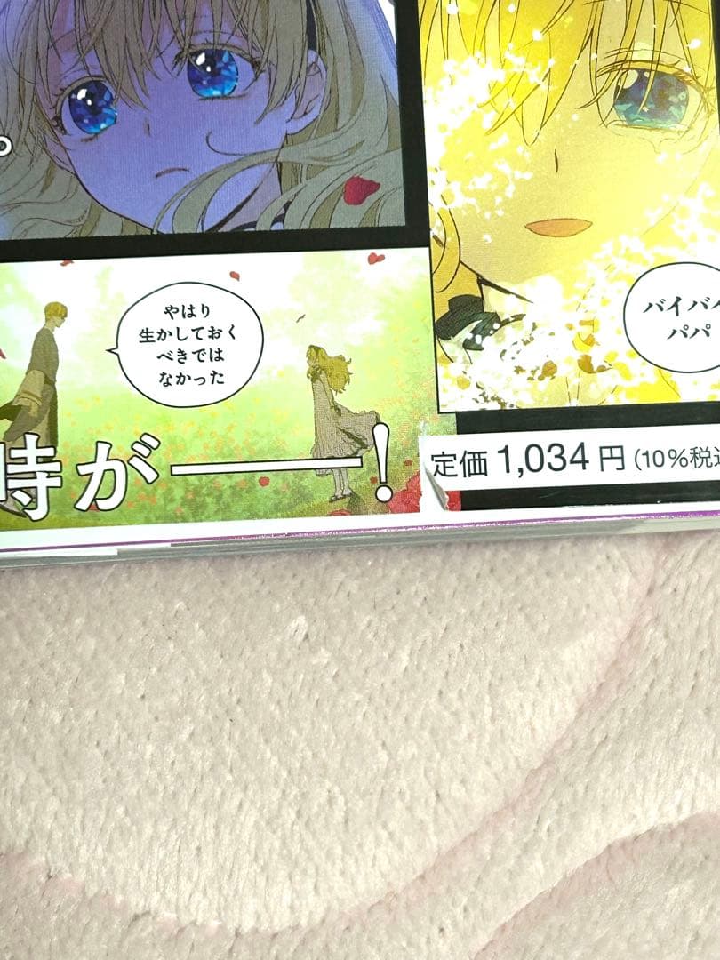 ある日、お姫様になってしまった件について 1〜9巻 12巻 セット