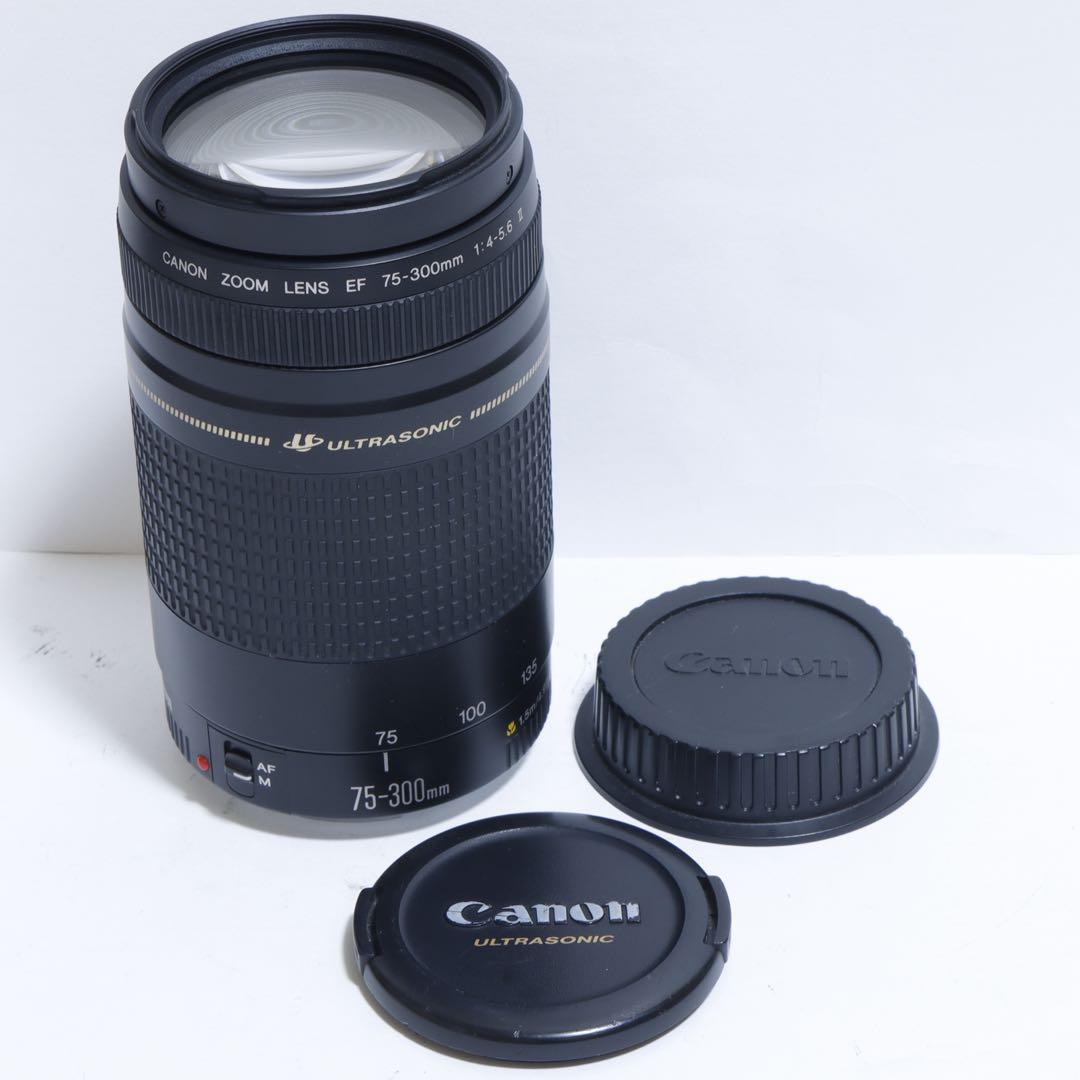 ◇ 大迫力望遠!◇Canon純正 75-300mm II型 超望遠◇