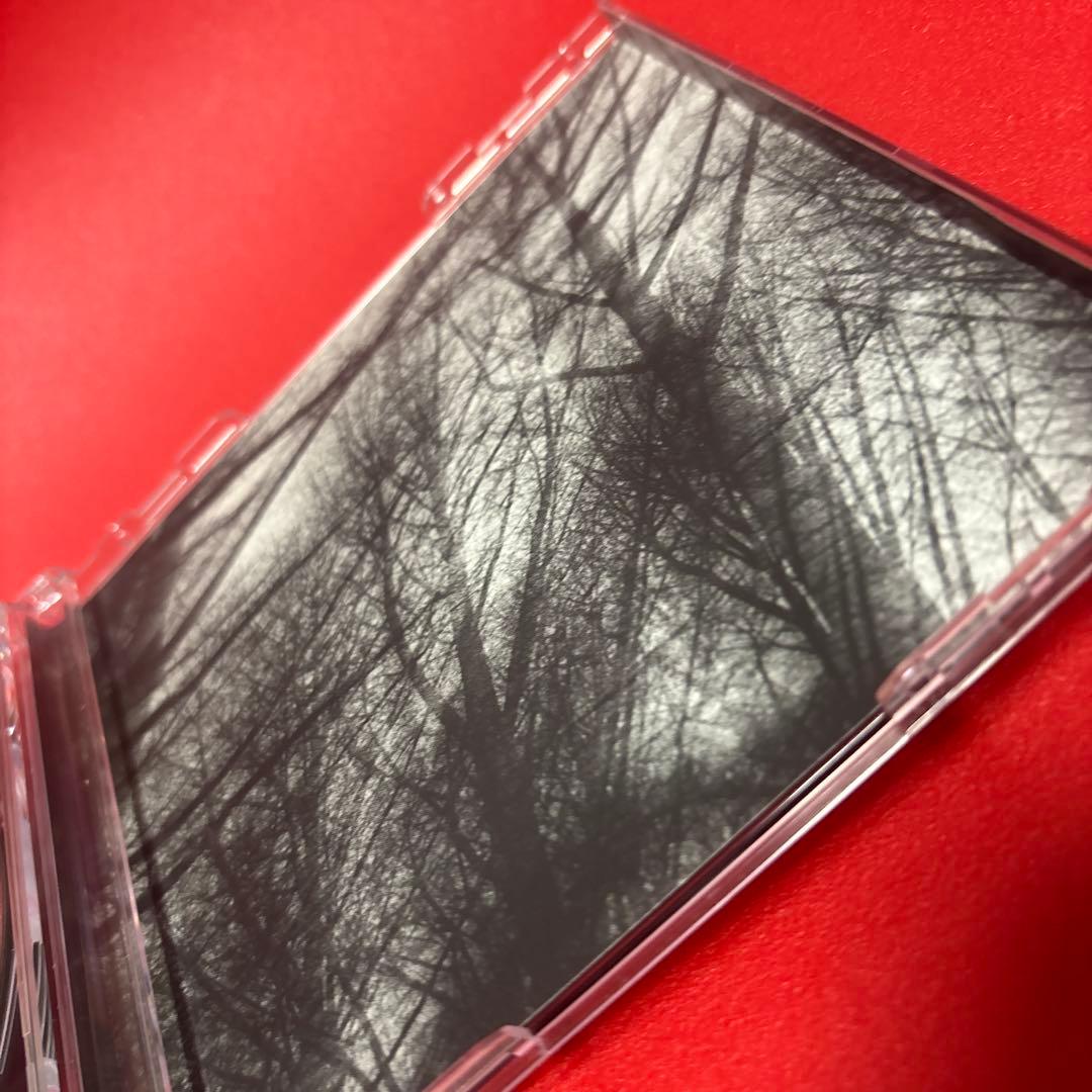 NOMAD 初回　CD DVD付き　The birthday アルバム　美品