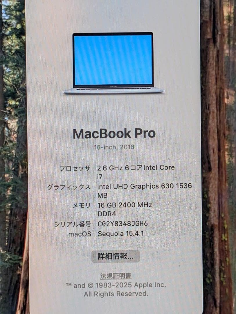 MacBook Pro SSD1TB メモリ16GB