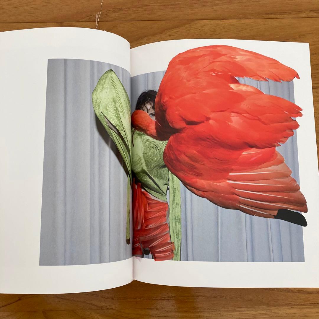 絶版 Viviane Sassen 写真集 Of Mud and Lotus