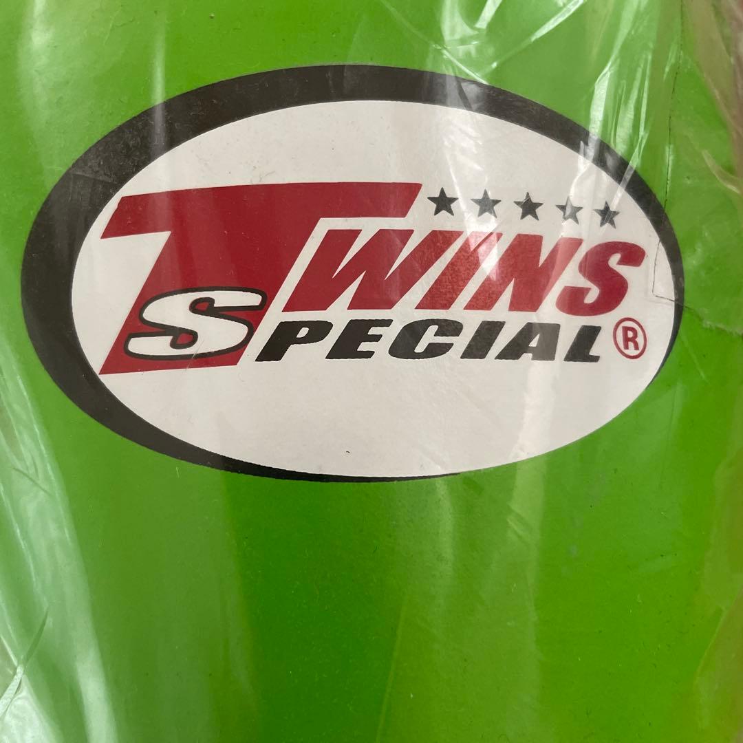 TWINS SPECIAL ボクシンググローブ グリーン