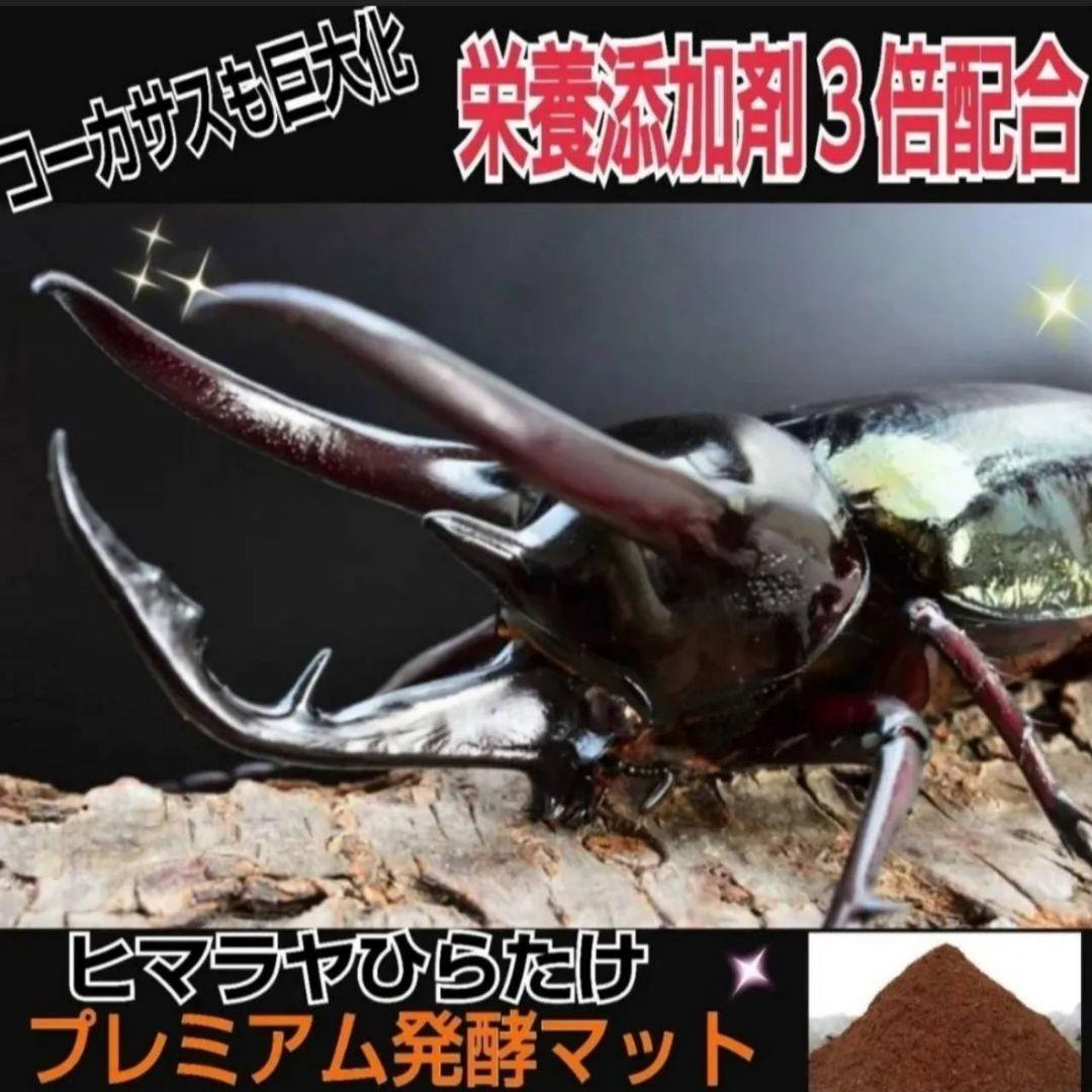 外国産カブトムシ幼虫が大きくなります！プレミアム3次発酵マット(60リットル)