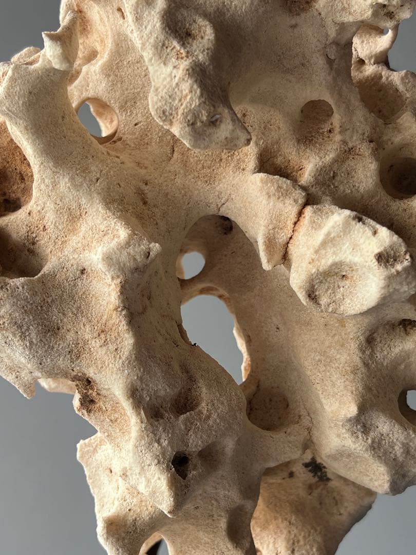 「星漢」　天然石　鑑賞石　飾り石　中国美術　置物　太湖石　台座付き　インテリア