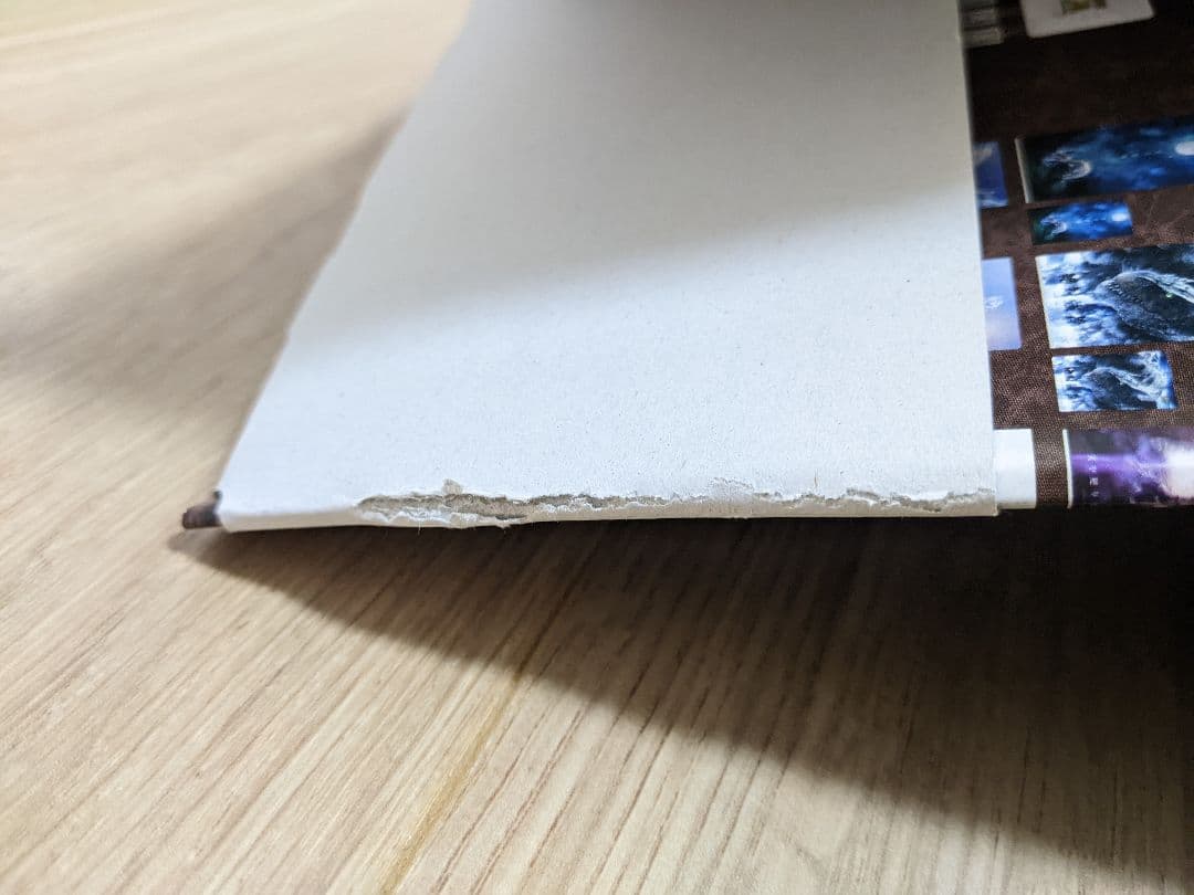 モンハン一番くじ モンスターハンター コンプ ラストワン　ミラボレアス　パネル