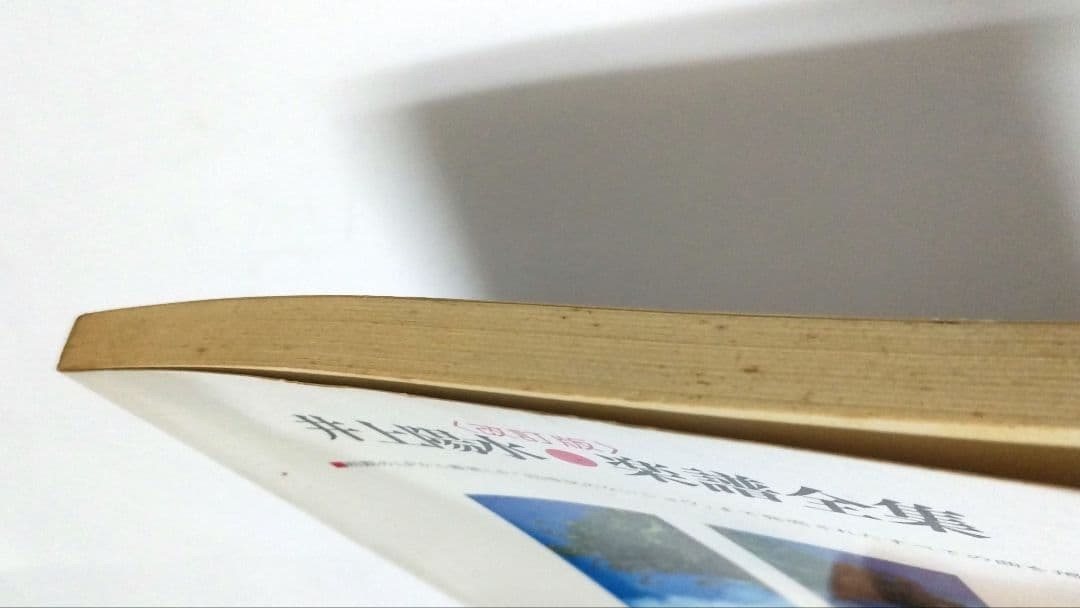 ★貴重!★ 井上陽水　楽譜 全集　改訂版