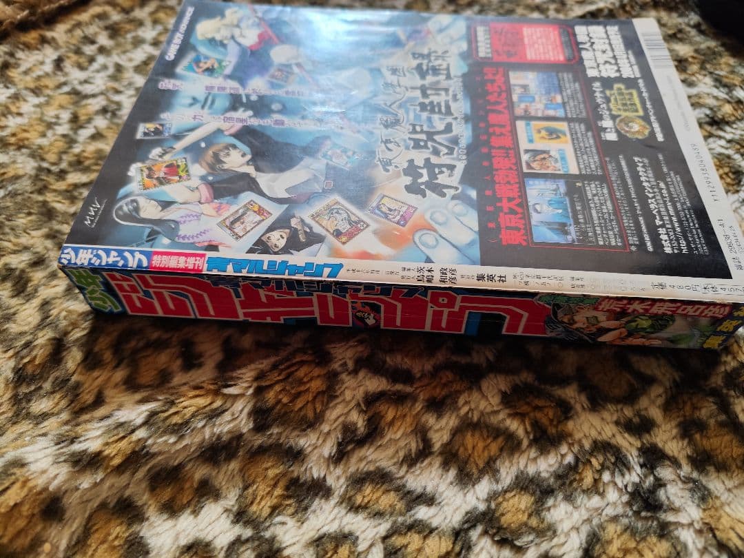 少年青マルジャンプ　荒木飛呂彦　ジョジョ　スティール・ボール・ラン　SBR