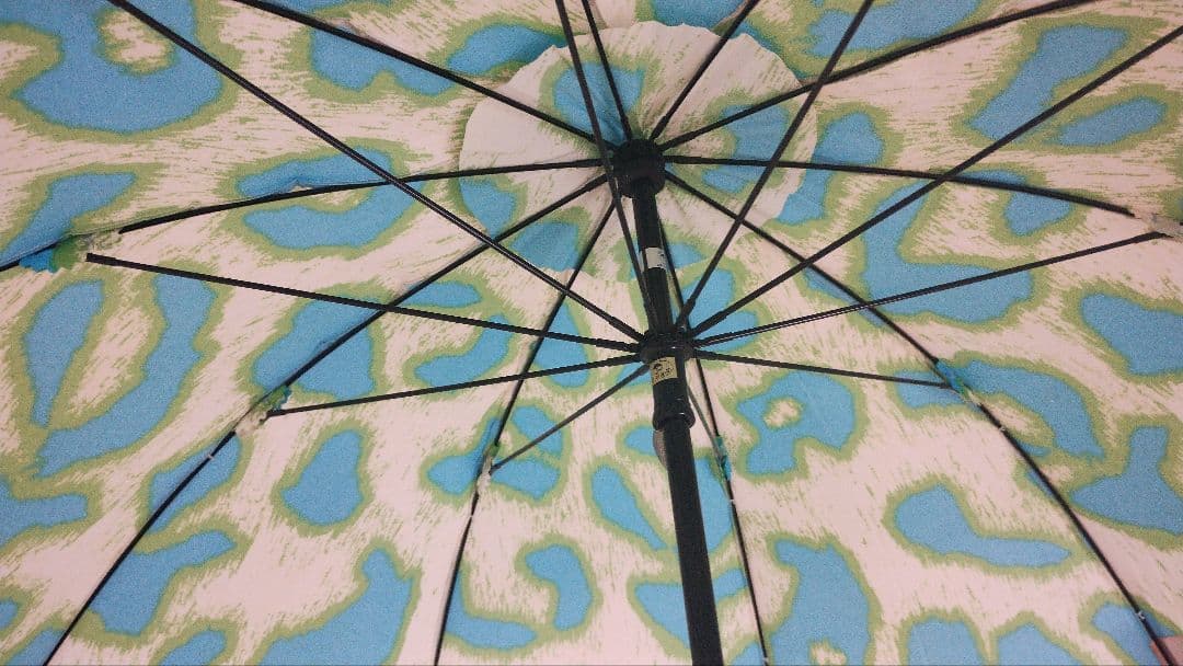 貴重品ヴィヴィアンウエストウッド雨傘