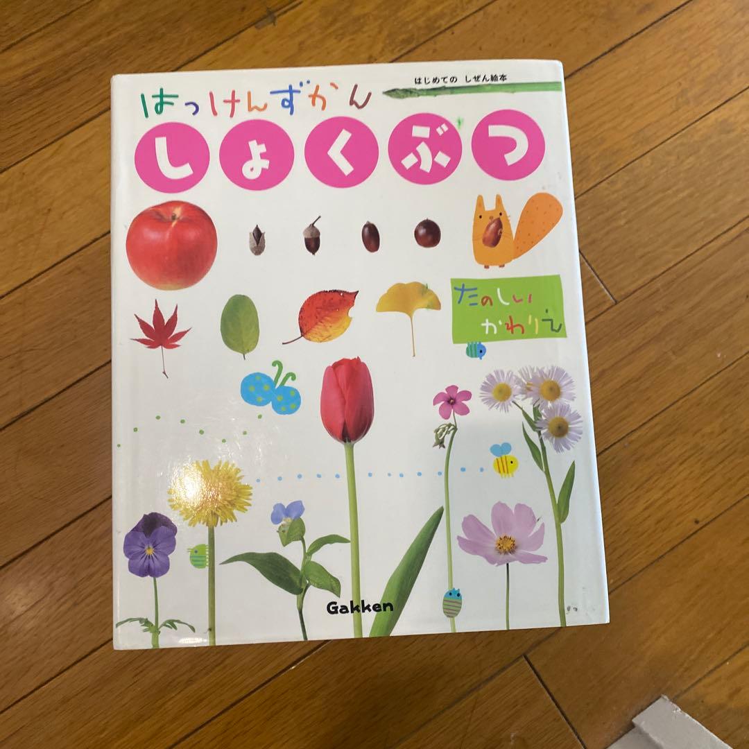 【最終値下】Gakken はっけんずかん・小学館　プレNEO