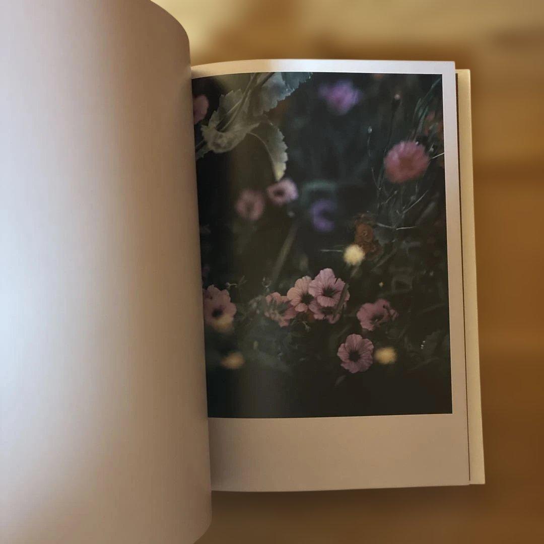 Darren Almond 写真集The Civil Dawns