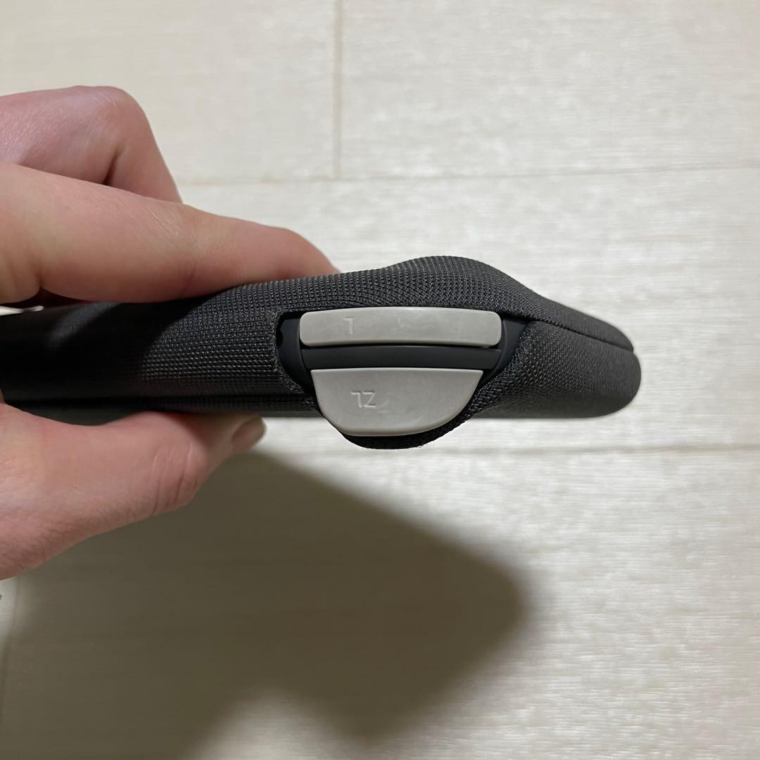 Nintendo Switch Lite グレー 本体　＋おまけ付き