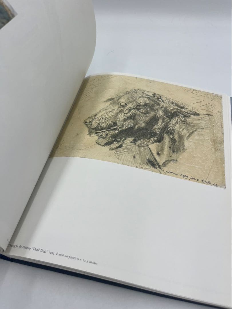 Antonio López García: Drawings ハードカバー