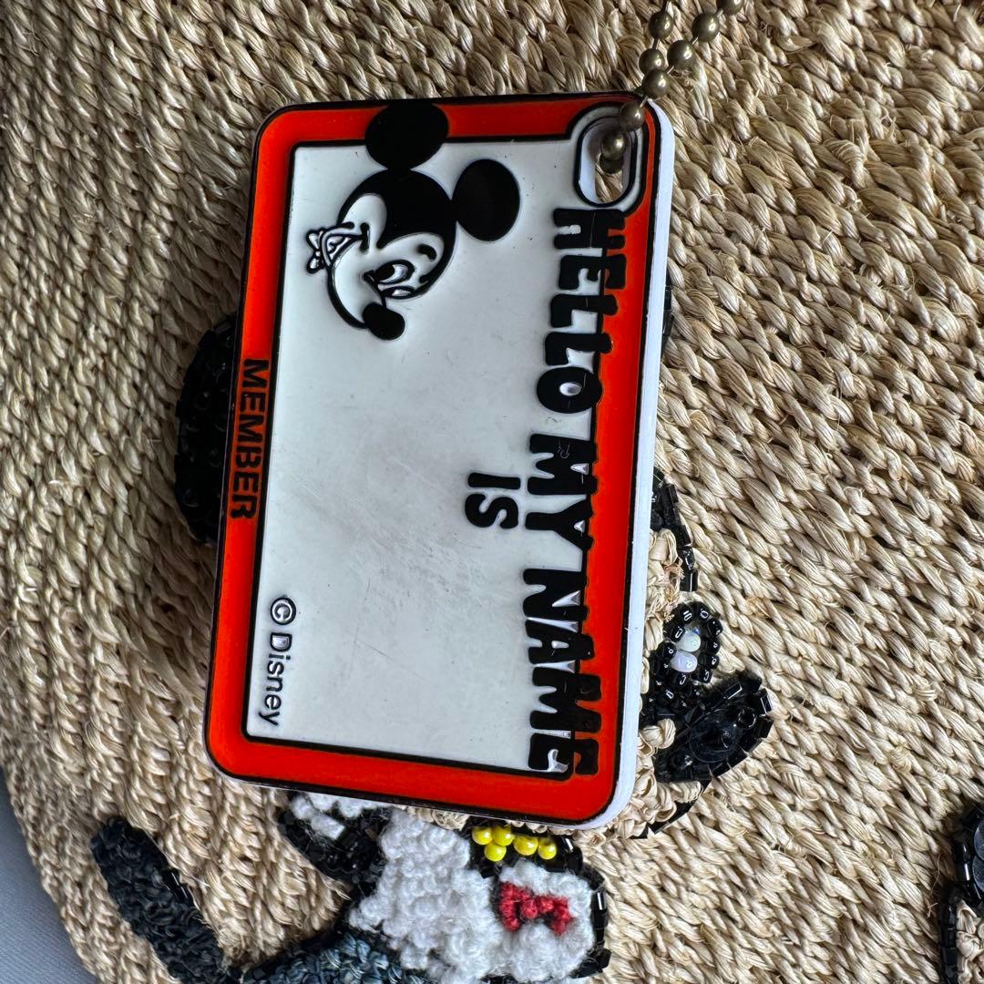 ✨希少品✨ ビームスボーイ かごバッグ ディズニーコラボ 40周年記念