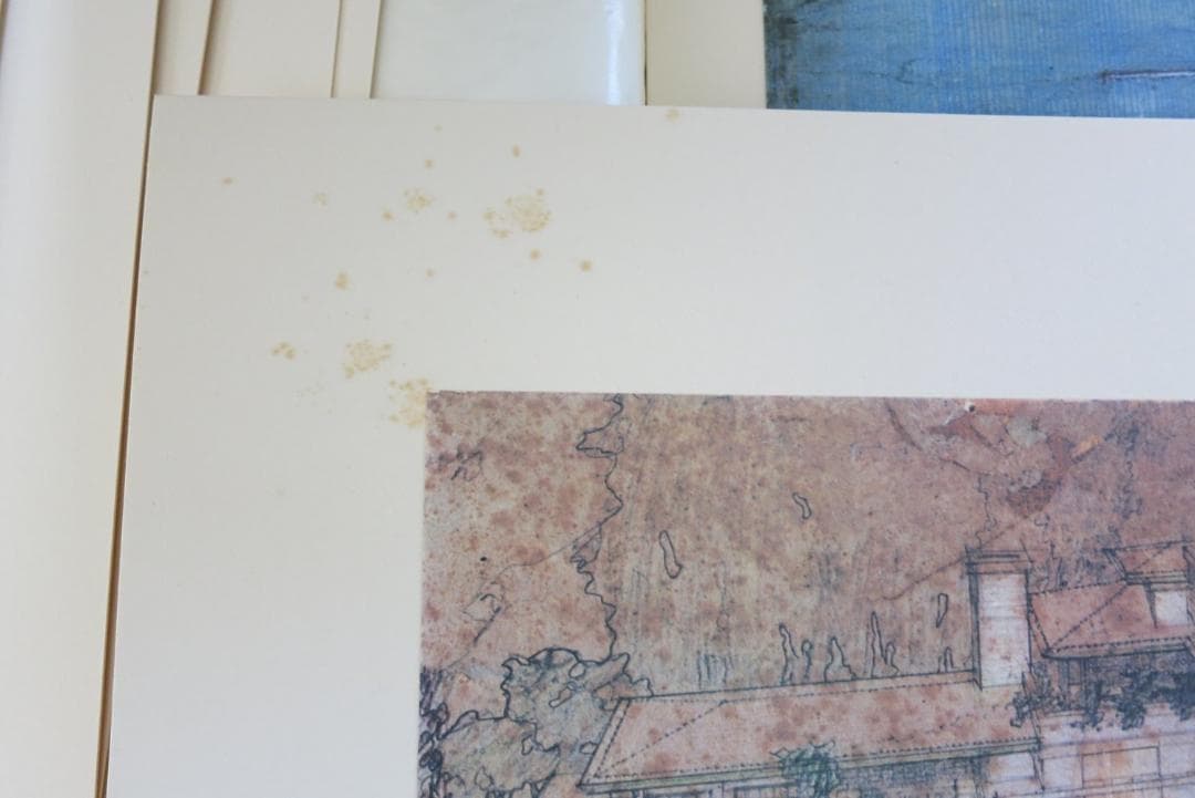 フランク・ロイド・ライト建築透視図集 ポートフォリオ 限定480部 箱付