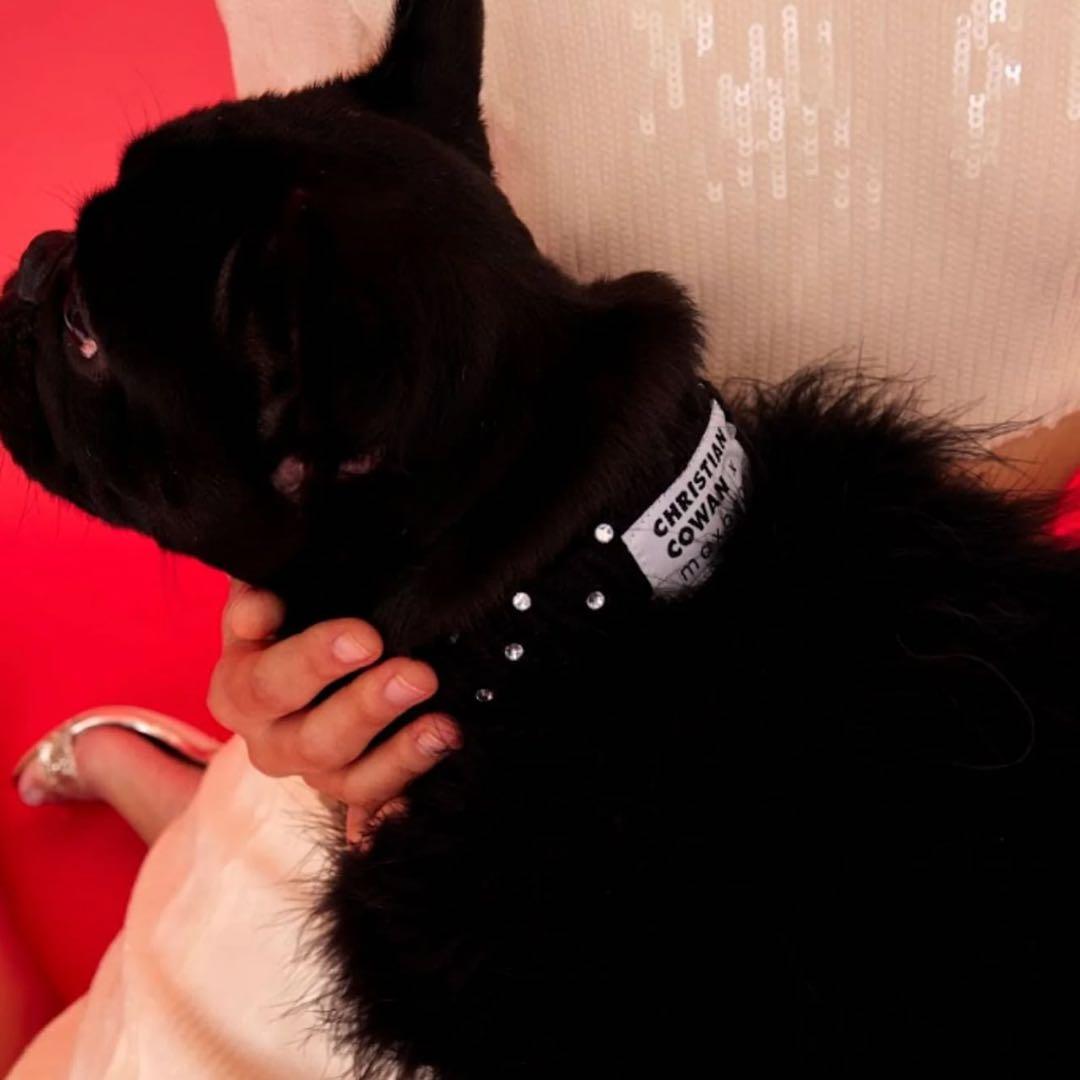 Christian Cowan x maxbone Jumper L サイズ