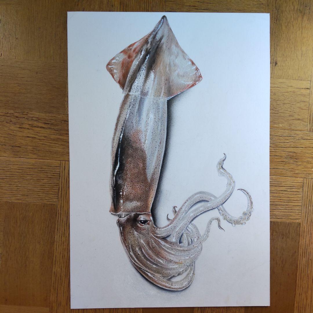 肉筆画　直筆　ARIAさんの絵　Http://grapee.jp/1220421