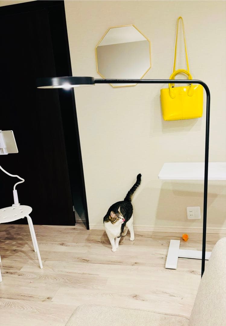 **IKEA 希少品**HAY YPPERLIG フロアスタンド タッチセンサー