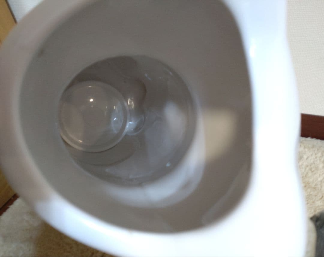 ❣ポルトガル製【可愛い猫型傘立て】陶器 白系