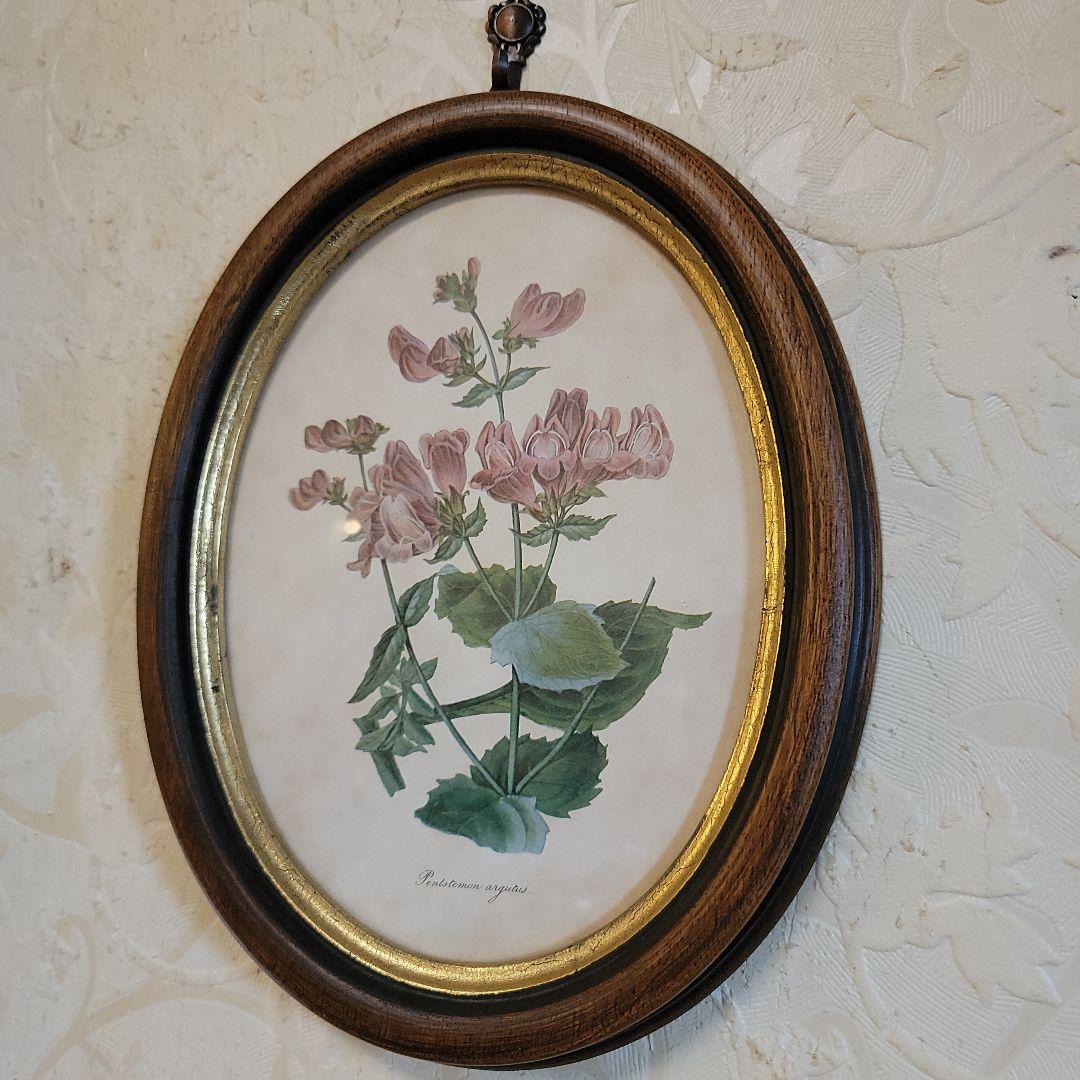 くれは様用です！！　ヴィンテージ　イタリア製　ボタニカルアート　2つ