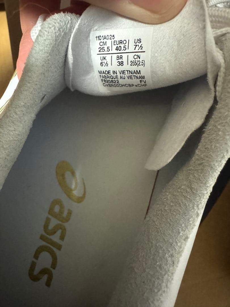 シューズ asics DS LIGHT X-FLY PRO 25.5cm