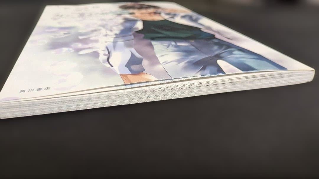 あさぎ桜 画集 新機動戦記ガンダムW フローズン・ティアドロップ