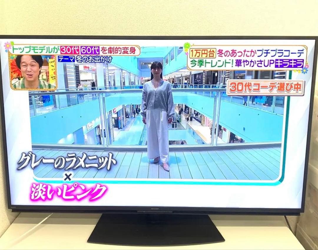 SHARP シャープ 55型 液晶テレビ 4T-C55DN1 2022年製