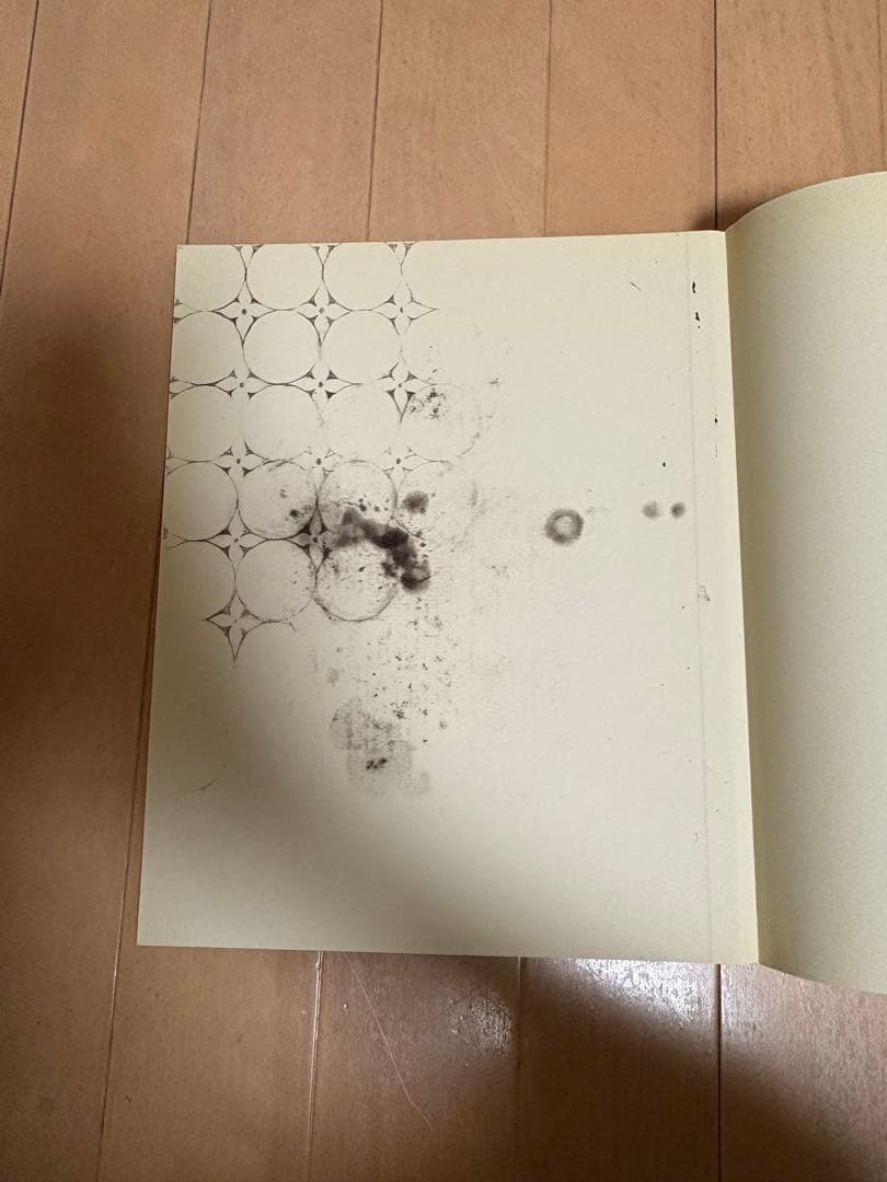 アート・デザイン・音楽 Mark Borthwick:not in fashion