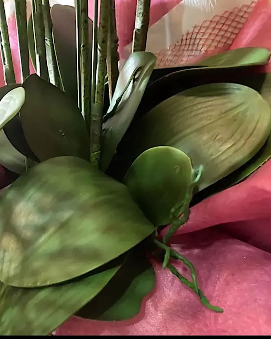 光触媒　人工観葉植物　ウォールグリーン　フェイクグリーン　リアル胡蝶蘭10本