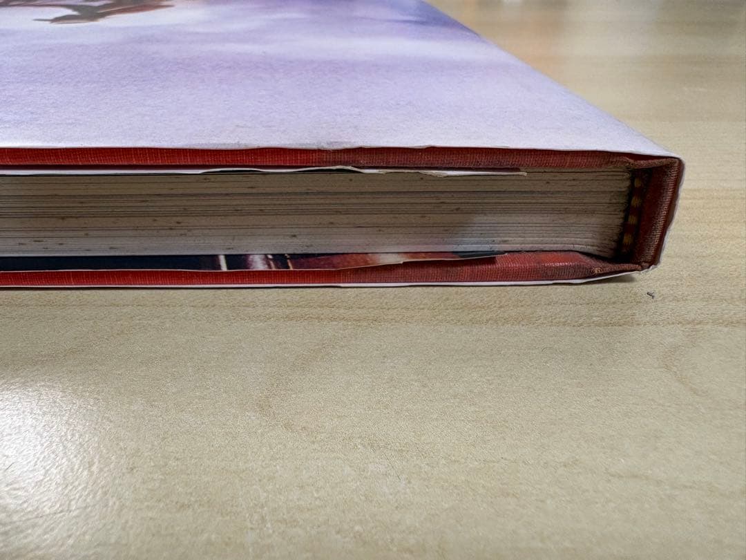 アート・デザイン・音楽 Richard Prince Lisa Phillips