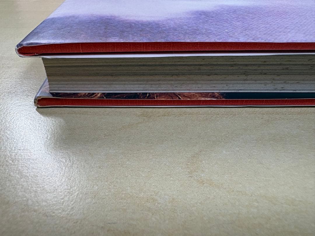 アート・デザイン・音楽 Richard Prince Lisa Phillips