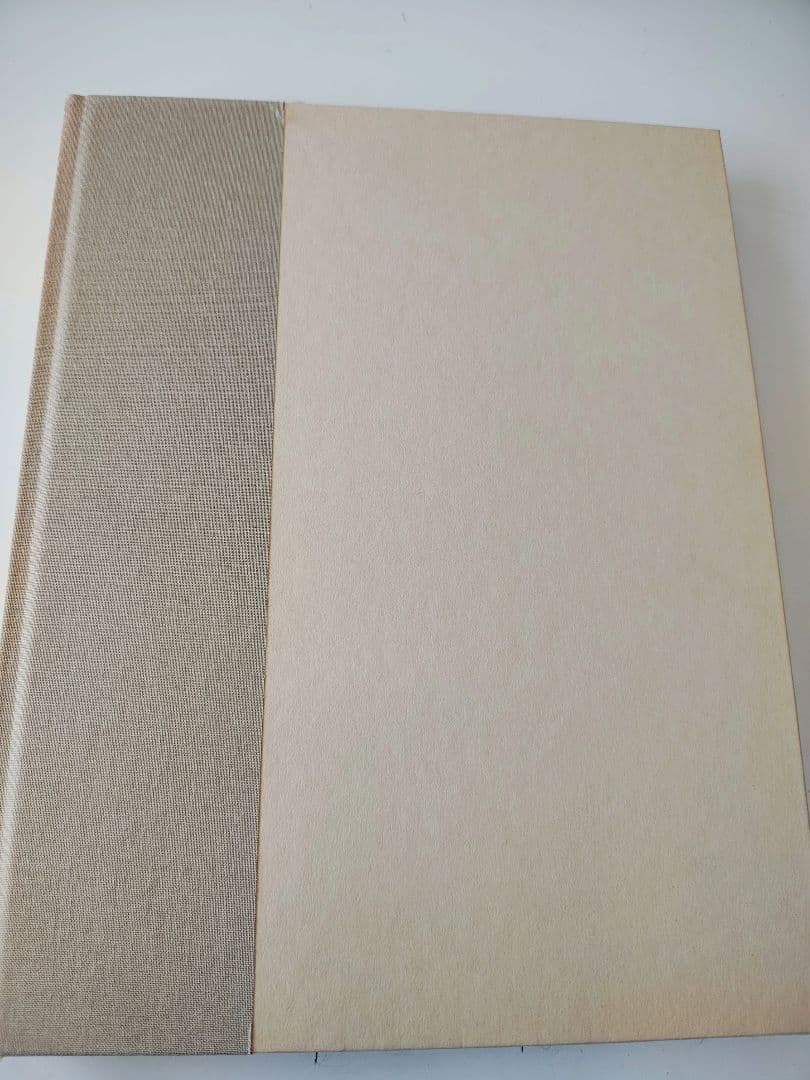 アート・デザイン・音楽 VISIONAIRE 22 CHIC MARIO TESTINO