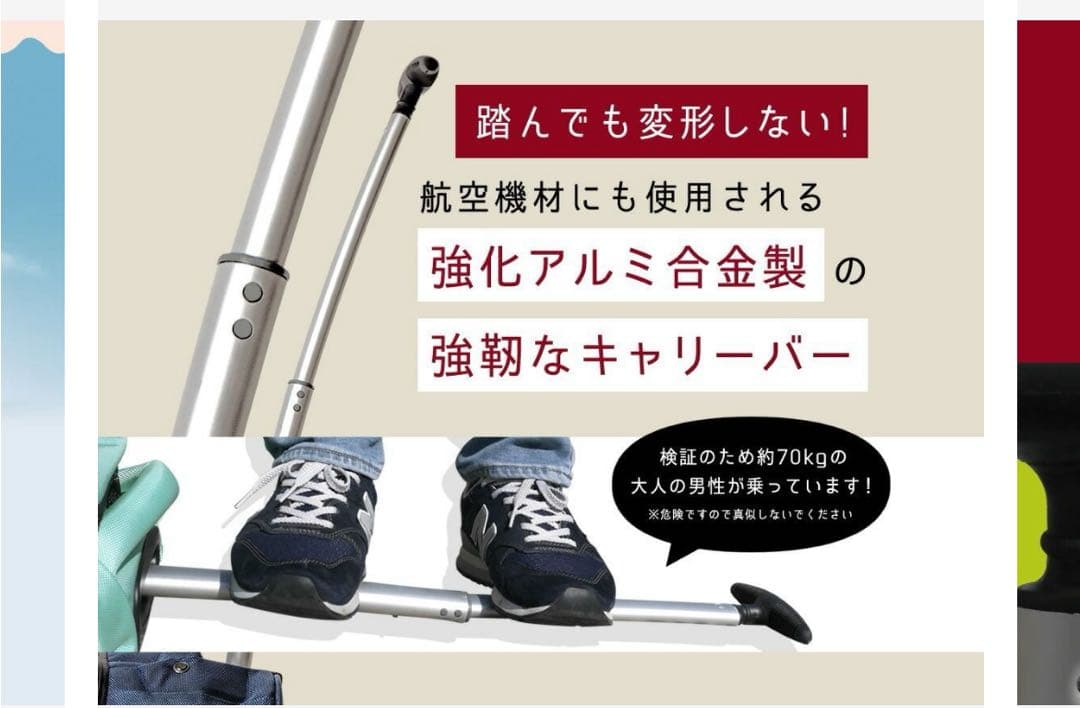 LeeDee 2wayキャリーバック　ブラック 美品