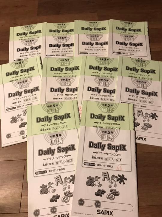 本日のみ大幅お値下げ　SAPIX 国語 5年 デイリーサピックス 1~37