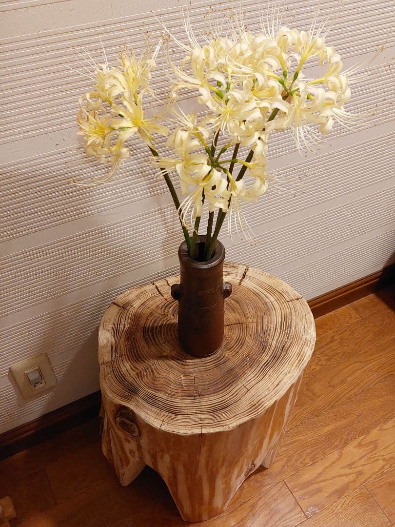 ★森の中で出会いそうな大きい丸太椅子