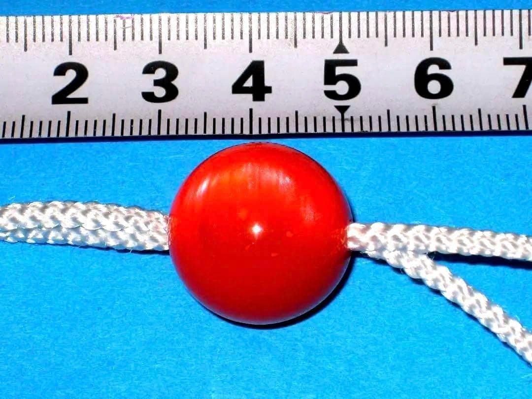 德川　三つ葉葵　印籠　水戸黄門