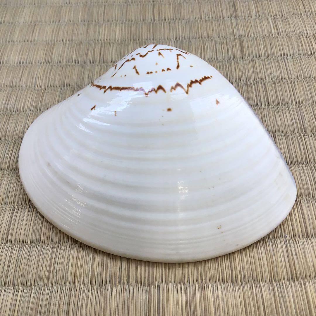 茶道具　香合　金箔蒔絵(内側) 大蛤十賊香合　共箱　S87TKG