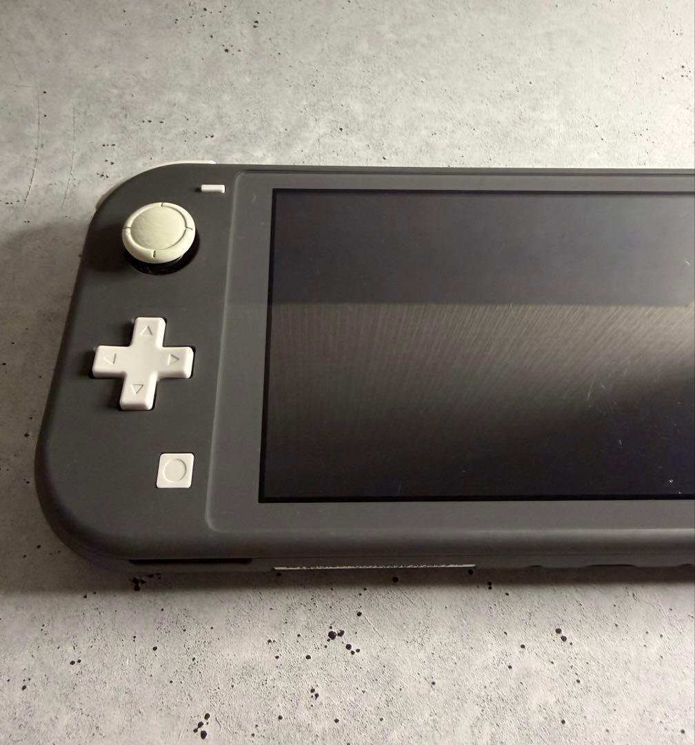Nintendo Switch Lite グレー 本体 おまけケース付き