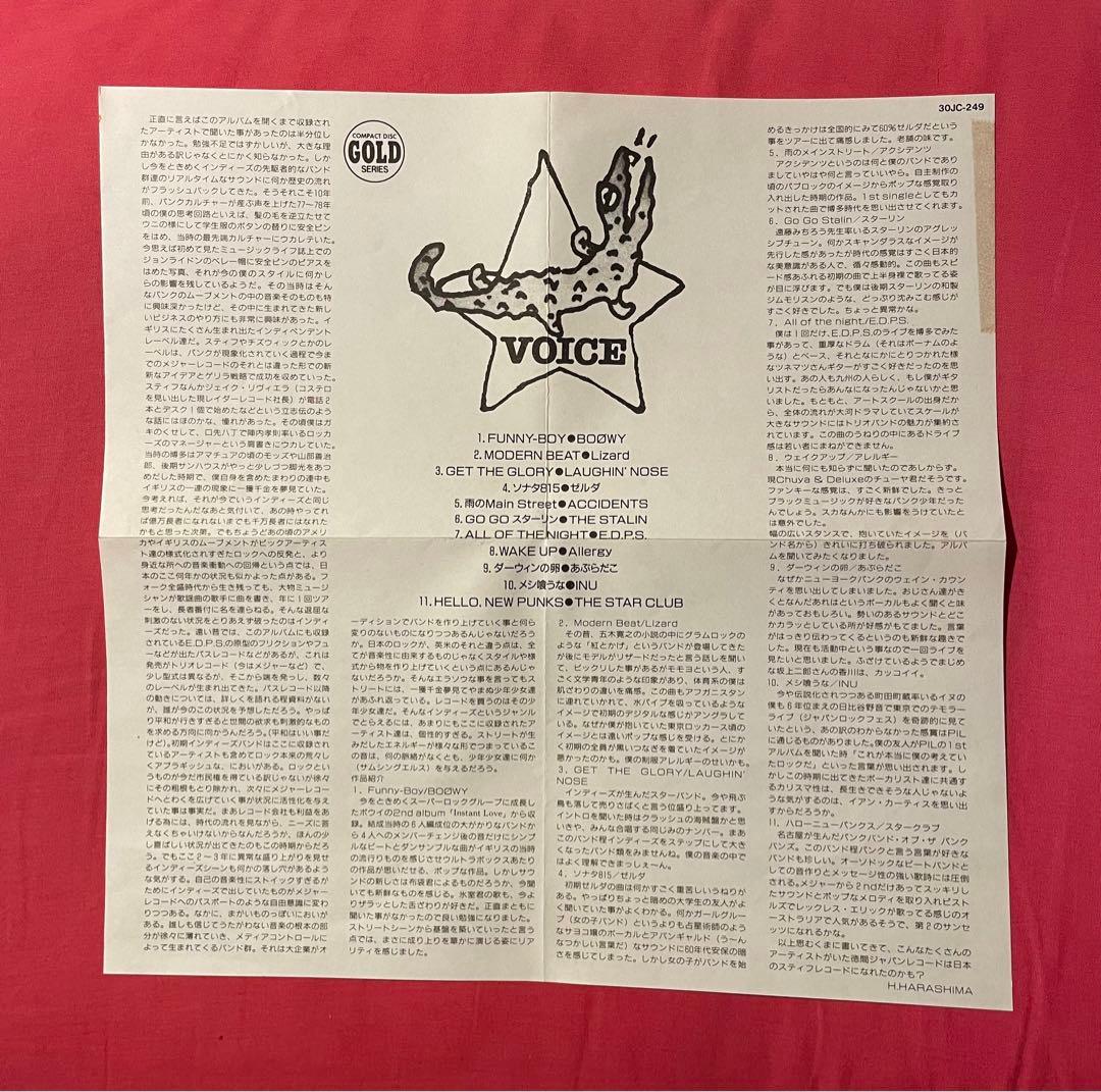 【VOICE ラフィンノーズ BOOWY スターリン あぶらだこ他 CD】