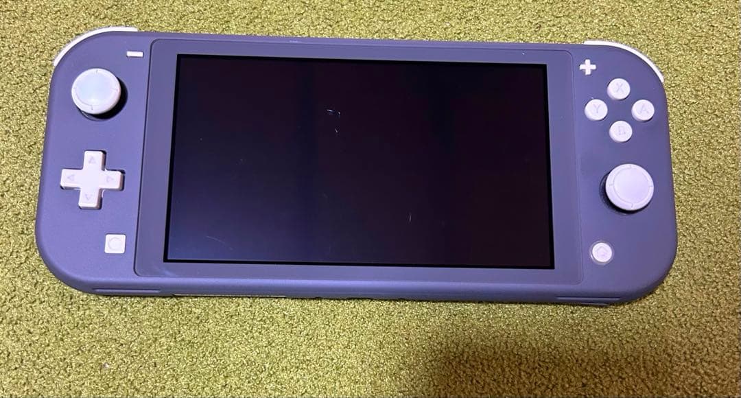(動作確認済み)Nintendo Switch Lite グレー 本体