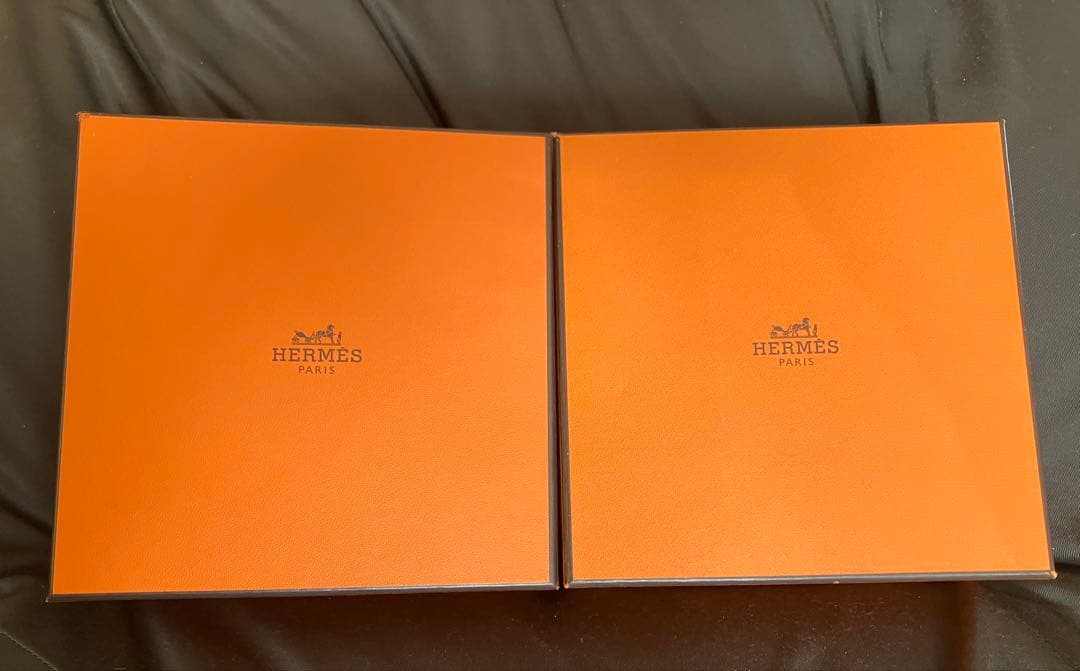 HERMES トゥカン　アフリカ　〔アニマル〕マグカップ　2点　エルメス