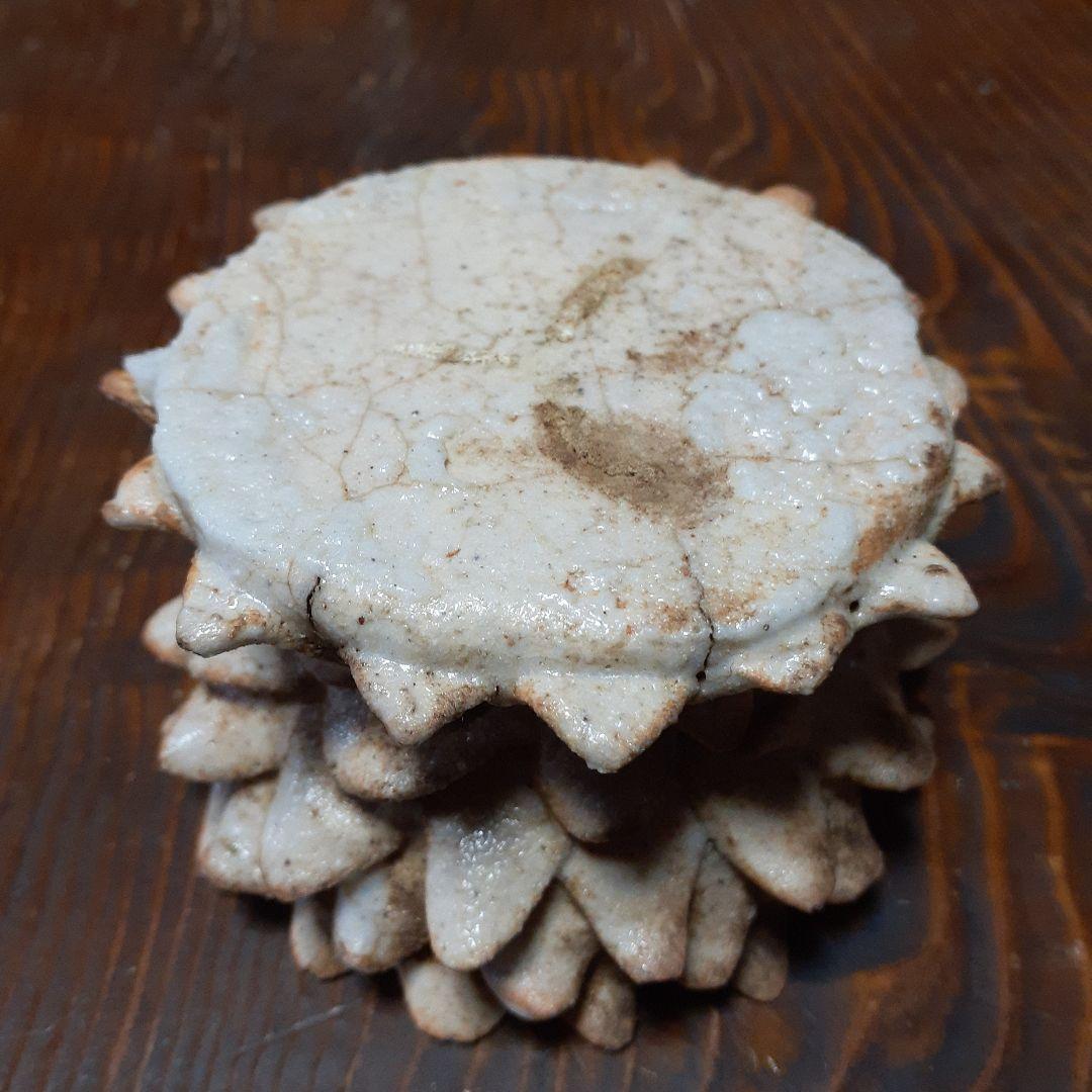 幻の志野焼蓮華台