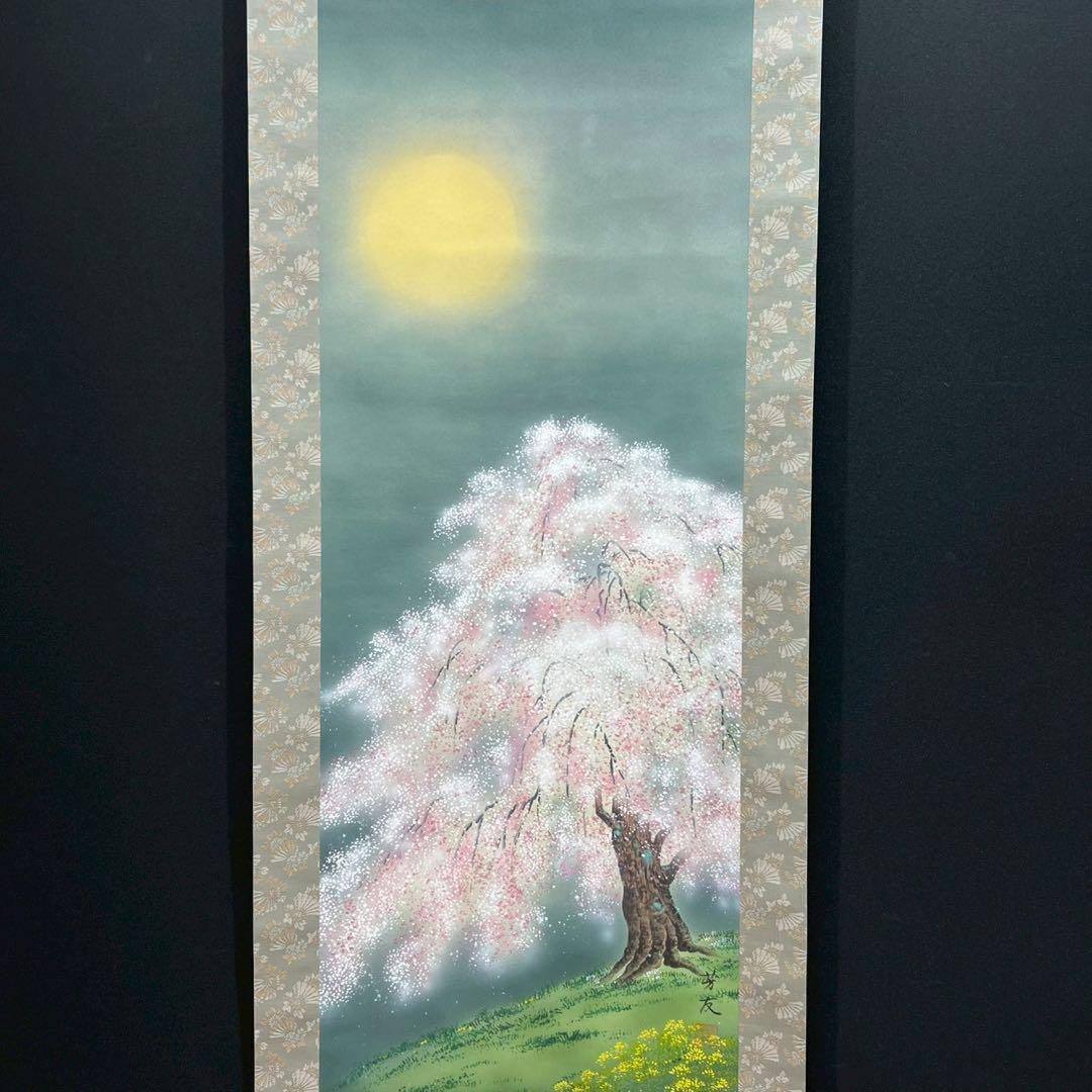 31 月下満開図 季節物 縁起物 桜図