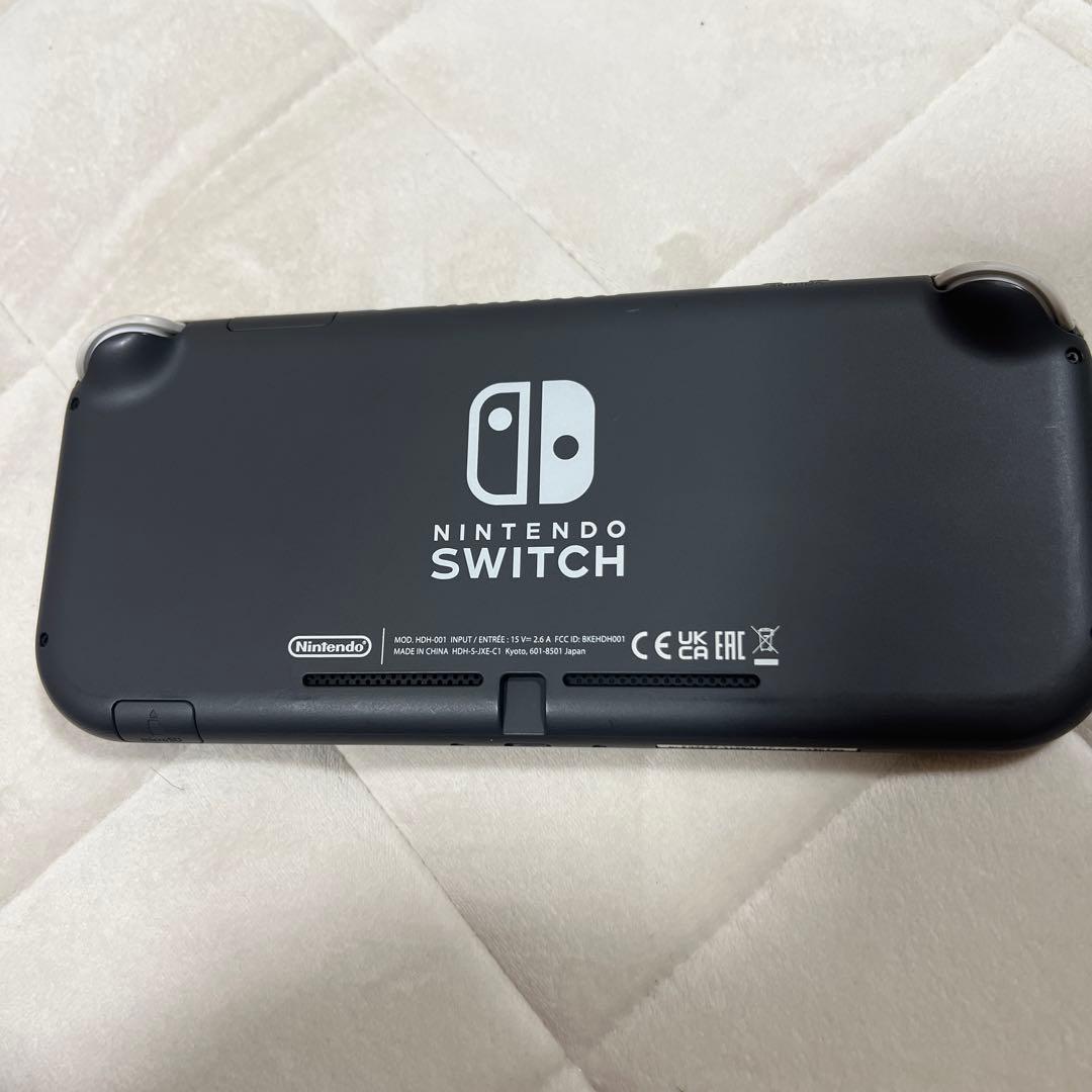Nintendo Switchlight 本体のみ グレー