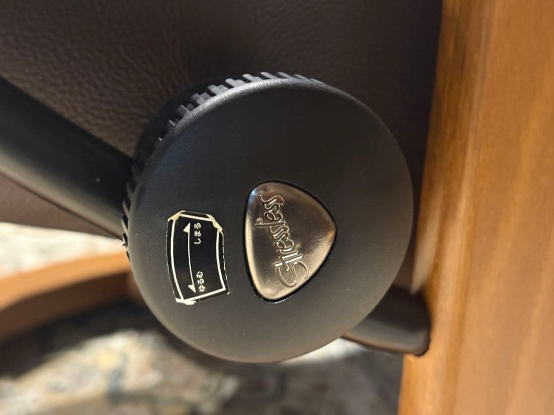 ①エコーネス パーソナルソファ オットマン ストレスレスチェア　IZZ