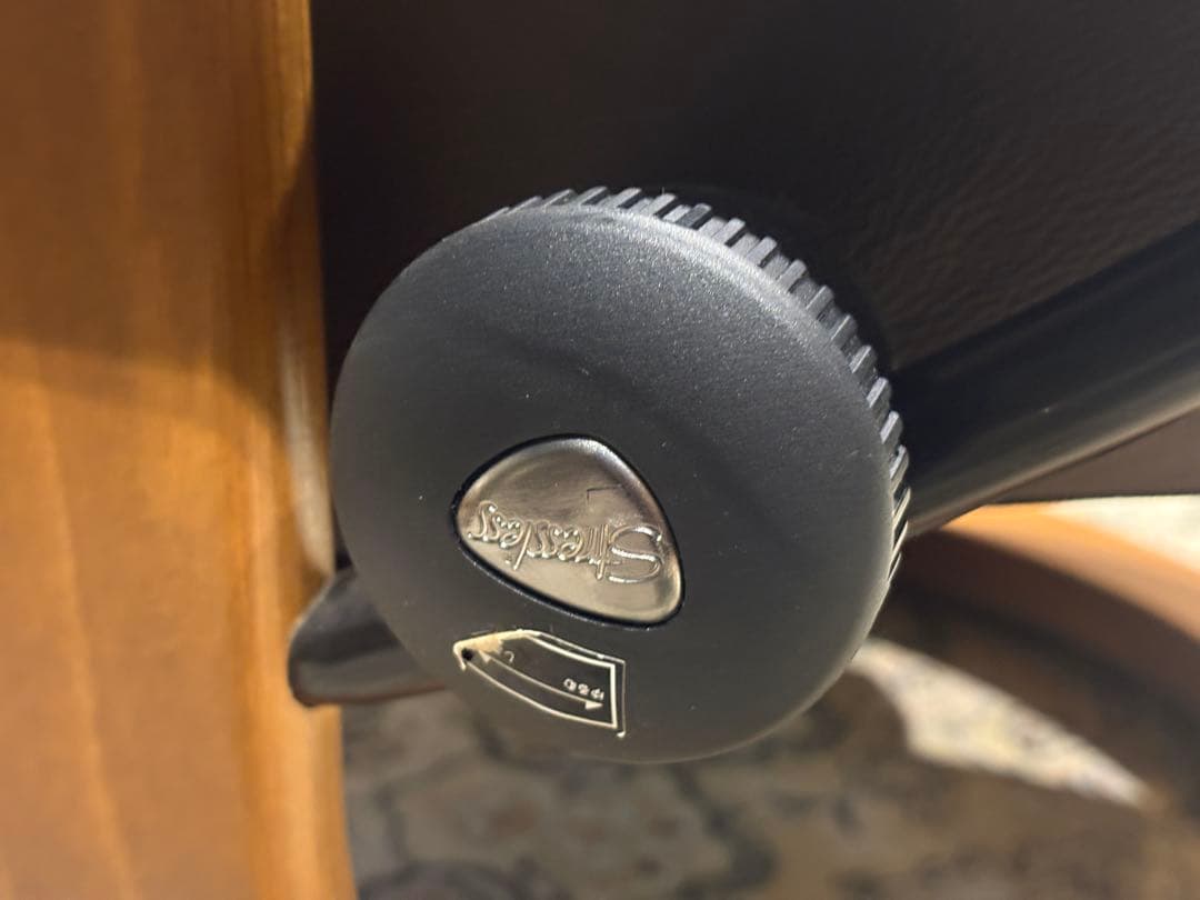 ①エコーネス パーソナルソファ オットマン ストレスレスチェア　IZZ