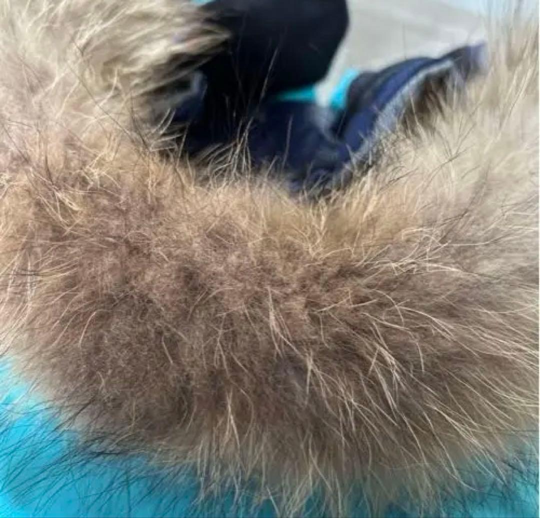 Phenix スキーウェア レディース 青/白