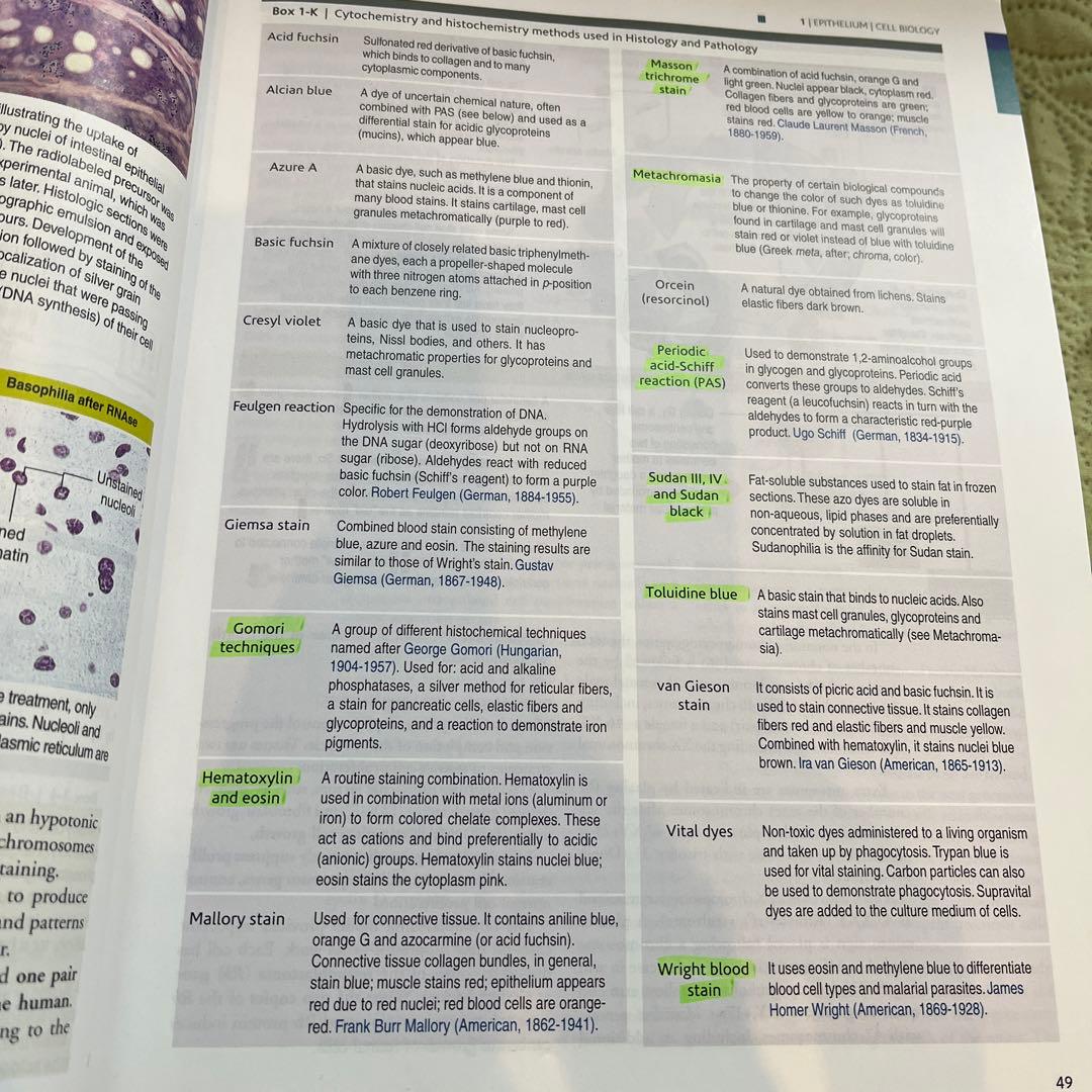 健康・医学 HISTORY AND CELL BIOLOGY FIFTH EDITION