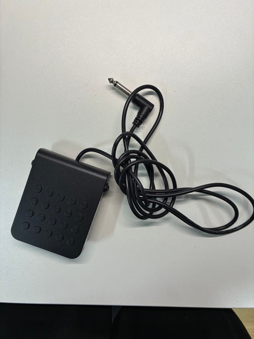 鍵盤楽器 CASIO Privia PX-S1100BK